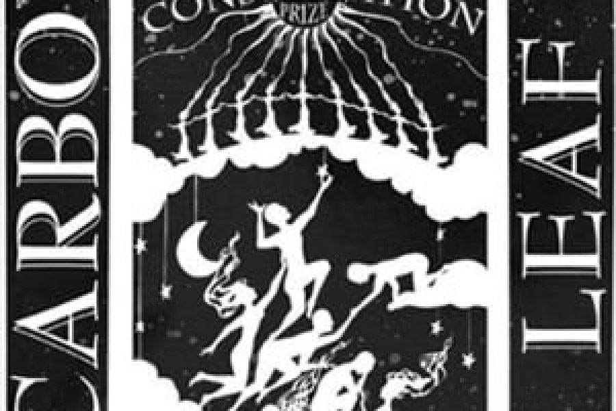 Carbon Leaf Constellation Prize album review