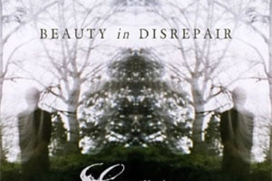 Emerson Hart - "Beauty In Disrepair" Album Review