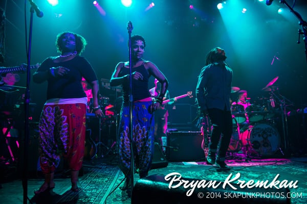 ziggymarley-irvingplaza22