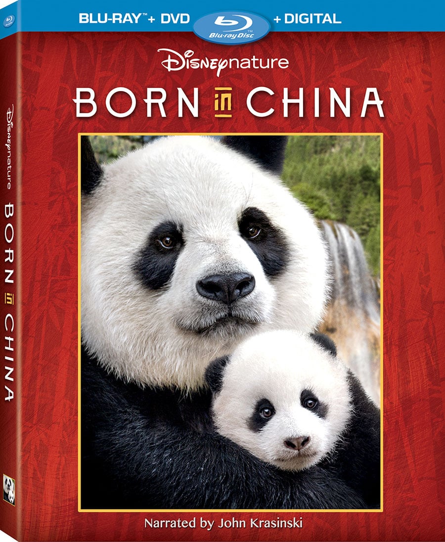 Born in China