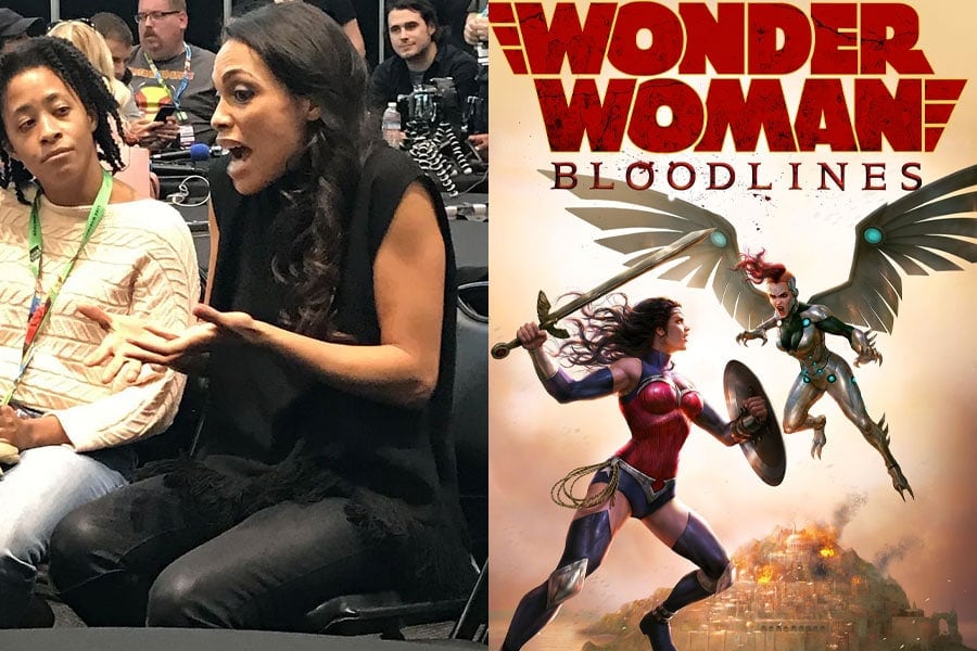 Wonder Woman first fight scene Wonder Woman Bloodlines 2019 