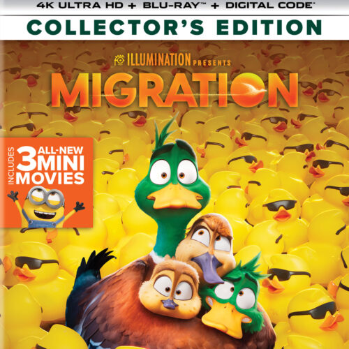 Migration (4k UHD + Blu-Ray + Digital HD)