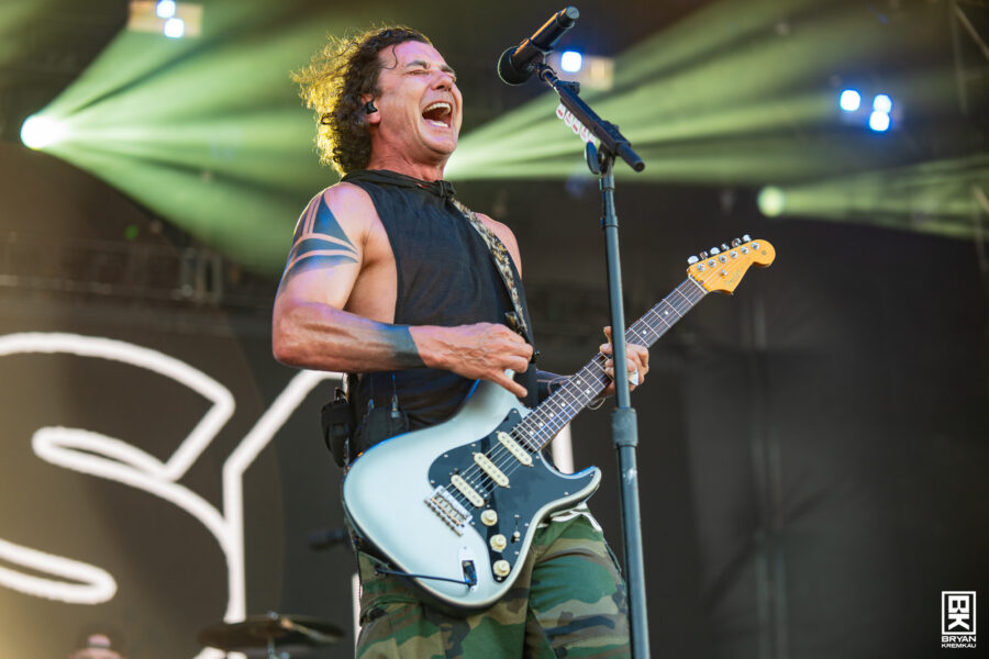 Bush at Boardwalk Rock