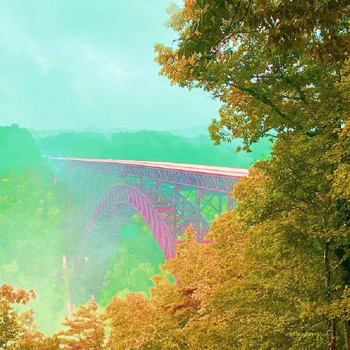 Alan Williams - "Floating on the Dreamline"